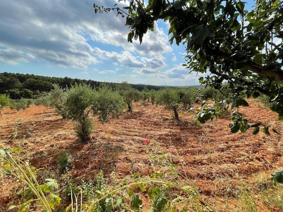 Вілла El-Cortijo Siete Aguas Екстер'єр фото
